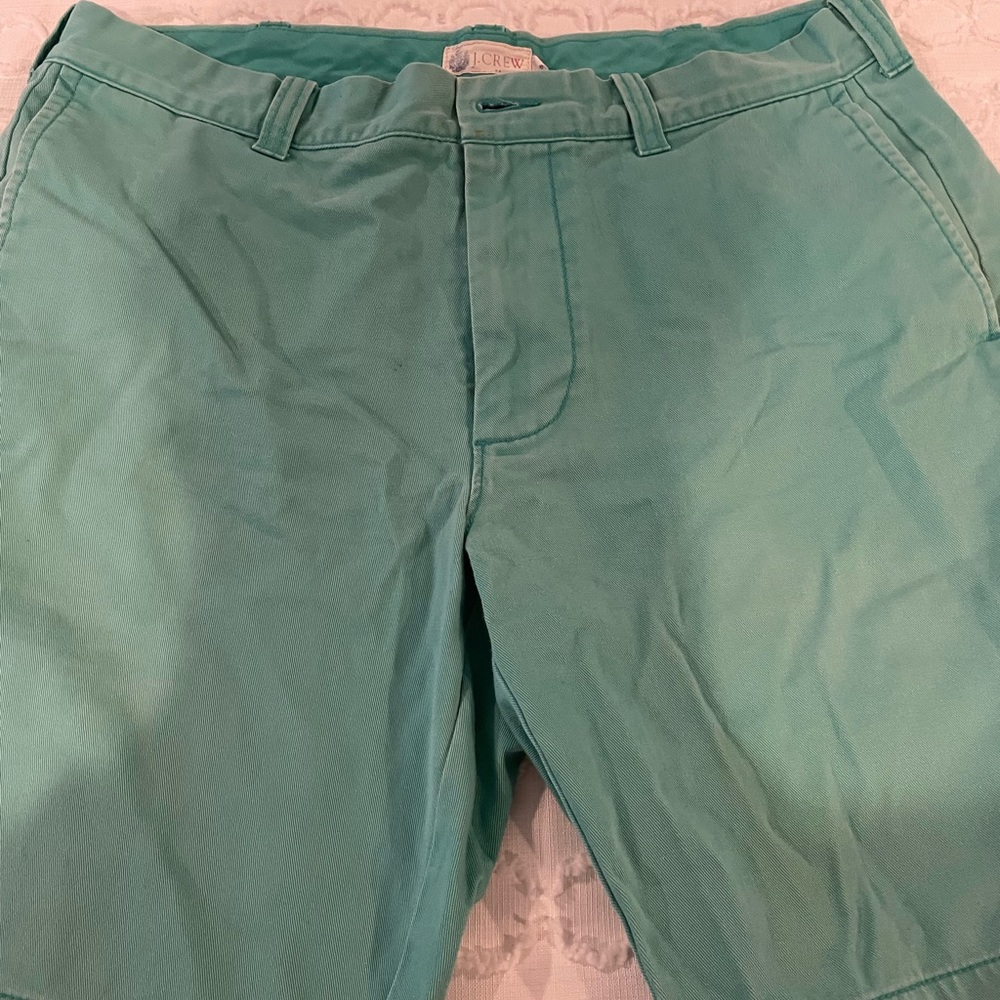 Jcrew Factory mint shorts
